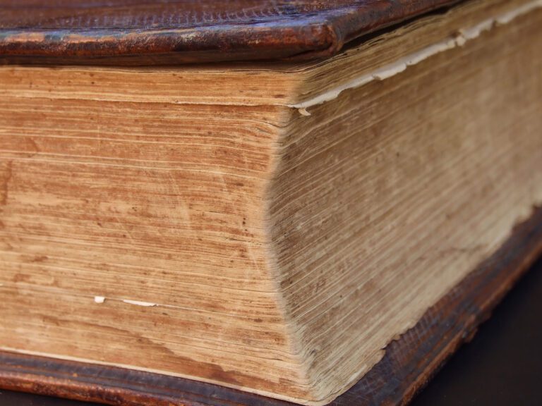 Lee más sobre el artículo La historia tras el fin de la historia: relaciones entre antropología e historia hasta mediados del siglo XX.