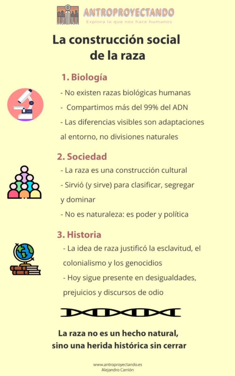 Infografía sobre la construcción social de la raza: diferencias entre raza biológica y construcción social, incluyendo la variabilidad genética humana y el impacto cultural e histórico en la percepción de la raza