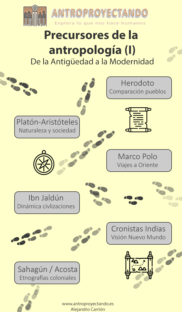 Infografía cronológica con los principales precursores de la antropología: Heródoto, Platón y Aristóteles, Marco Polo, Ibn Jaldún, cronistas de Indias y Sahagún/Acosta, representados en cuadros conectados por huellas que simbolizan un recorrido histórico no lineal.