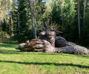 Cavareno_Land_Art4 Land Art en Cavareno, provincia de Trento (Italia)