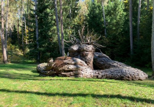 Cavareno_Land_Art4 Land Art en Cavareno, provincia de Trento (Italia)