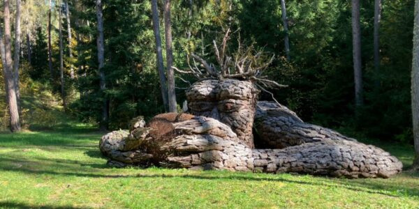 Cavareno_Land_Art4 Land Art en Cavareno, provincia de Trento (Italia)