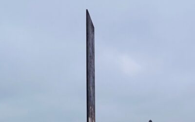 Patrimonio_20XX Portada del libro colectivo "Patrimonio 20XX. Desafíos de la conservación en la construcción de identidades "